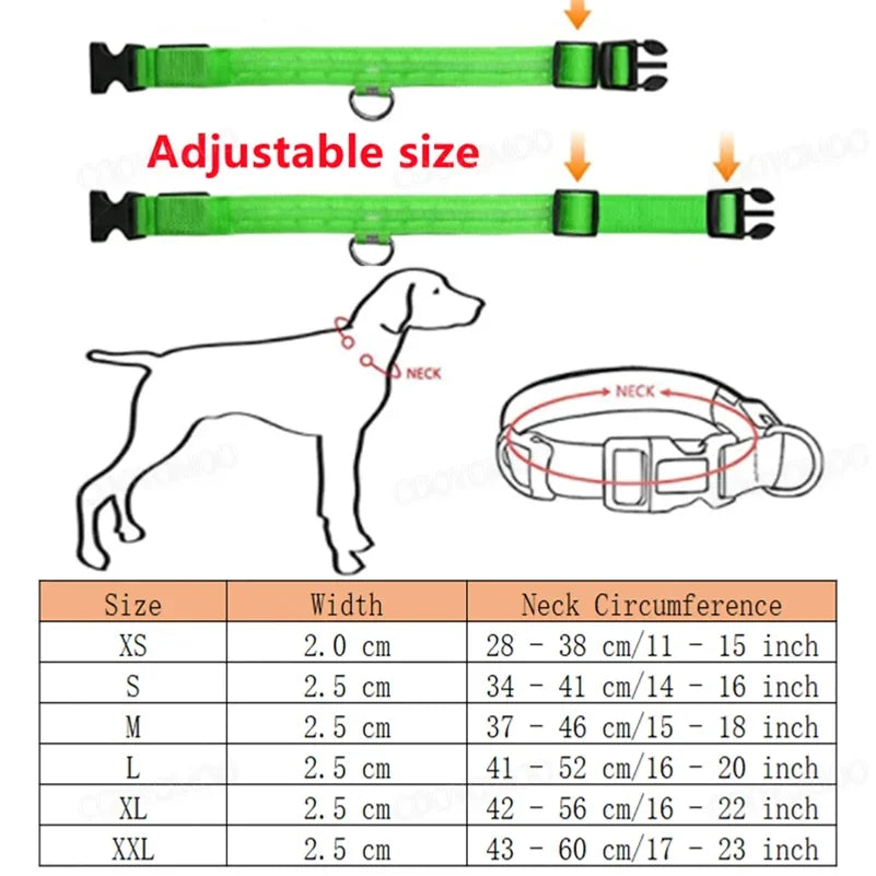 Nightglow Pet Collar