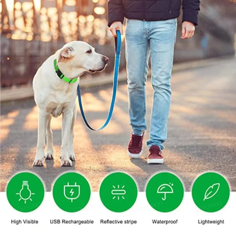 Nightglow Pet Collar