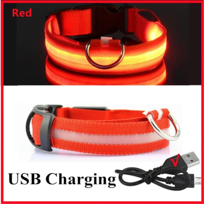 Nightglow Pet Collar