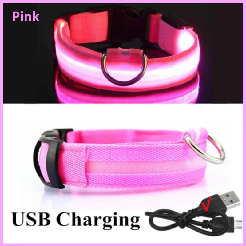 Nightglow Pet Collar