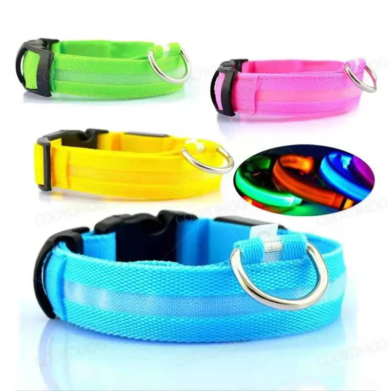 Nightglow Pet Collar
