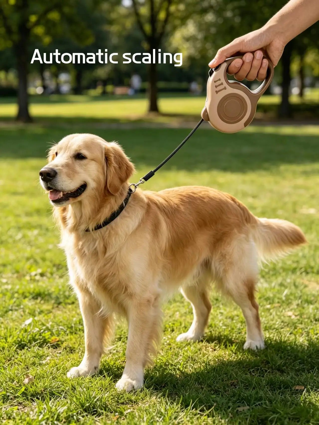 Dog walking rope. Dog chain. Dog rope.