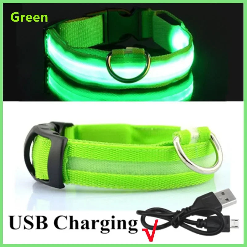 Nightglow Pet Collar
