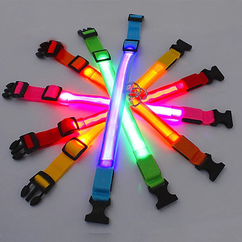 Nightglow Pet Collar