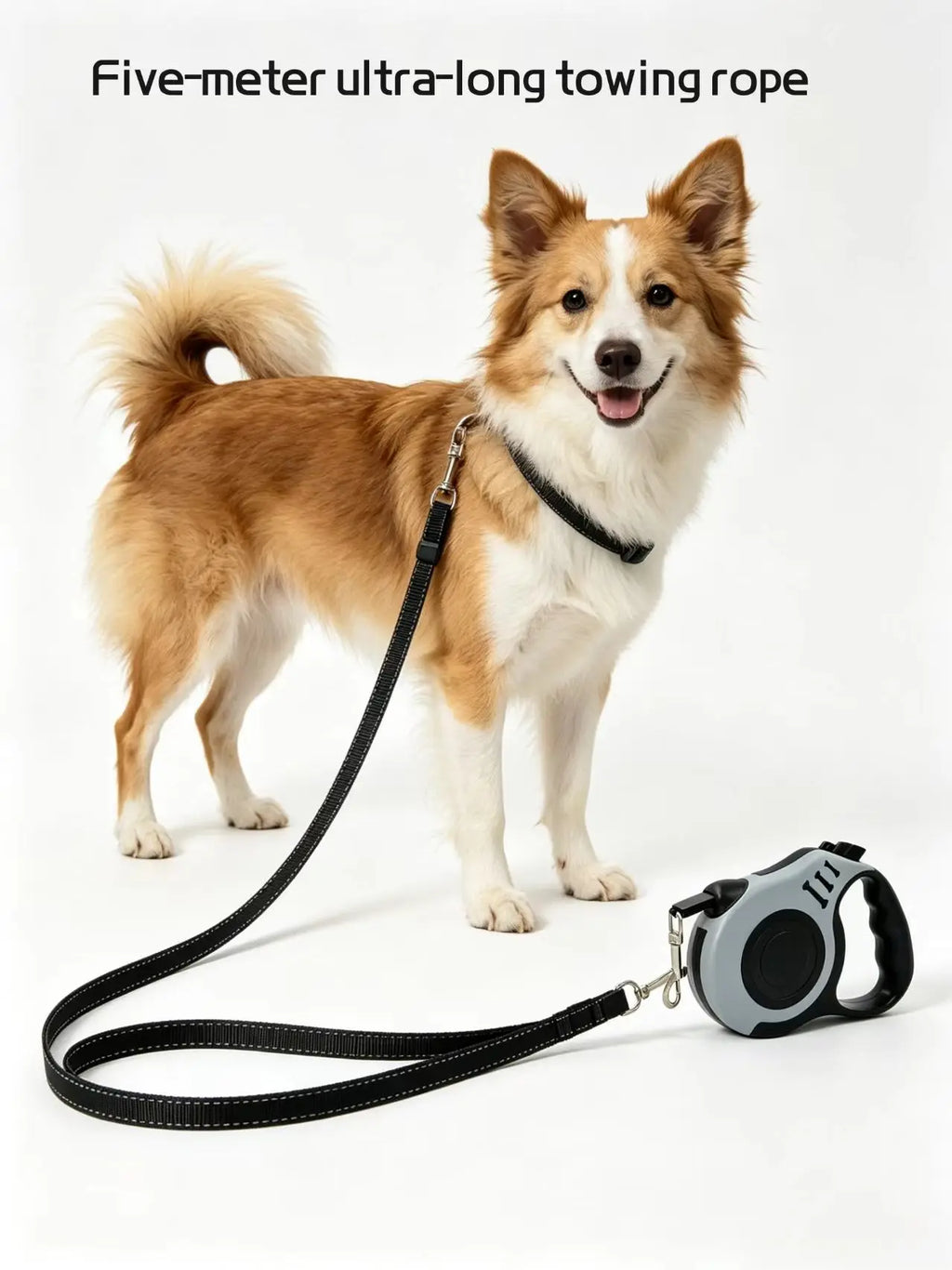 Dog walking rope. Dog chain. Dog rope.