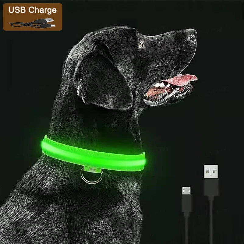 Nightglow Pet Collar