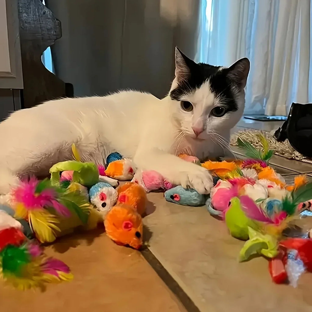 Mixed Cat Toy Set